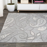 Julien Paisley High-low Indoor/outdoor Area Rug