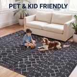 Leila Moroccan Diamond Trellis Machine-washable Area Rug