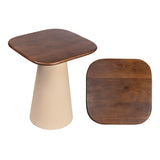 Skye 18" Modern Rustic Square Wood/Metal Accent Table