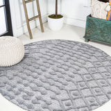 Peralta Moroccan Diamond Indoor/outdoor Area Rug