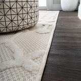Peralta Moroccan Diamond Indoor/outdoor Area Rug