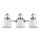 Phineas Farmhouse Bohemian Iron LED Vanity