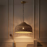 Eliza 20" Coastal Bohemian Rattan/Iron Dome LED Pendant Brown/Brass Gold – AI-ON