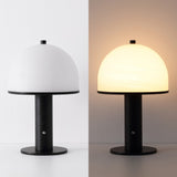 Imani 12.3 in. Modern Metal Rechargeable Integrated Dimmable LED Table Lamp with Touch Sensor