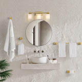 Caia 22.38" 3-Light Modern Contemporary Vanity Light with Frosted Glass Shades and Bathroom Hardware Accessory Set - JONATHAN Y