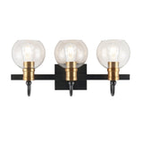 Marais Iron/Glass Rustic Vintage LED Vanity Light