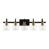 Marais Iron/Glass Rustic Vintage LED Vanity Light