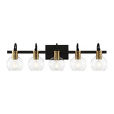 Marais Iron/Glass Rustic Vintage LED Vanity Light