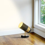 Astra 9.25" Modern Industrial Iron Adjustable Indoor LED Floor Spotlight