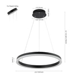Baxter Modern Contemporary Aluminum Integrated LED Hoop Pendant