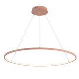 Brice Modern Contemporary Iron Integrated LED Pendant