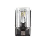 Bungalow Iron/Seeded Glass Rustic Farmhouse LED Vanity Light