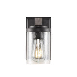 Bungalow Iron/Seeded Glass Rustic Farmhouse LED Vanity Light