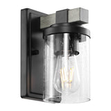 Bungalow Iron/Seeded Glass Rustic Farmhouse LED Vanity Light