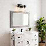 Bungalow Iron/Seeded Glass Rustic Farmhouse LED Vanity Light