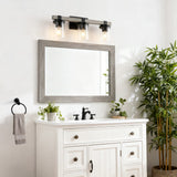 Bungalow Iron/Seeded Glass Rustic Farmhouse LED Vanity Light