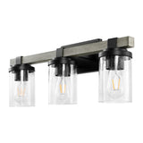 Bungalow Iron/Seeded Glass Rustic Farmhouse LED Vanity Light