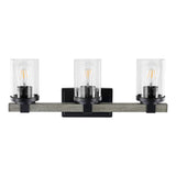 Bungalow Iron/Seeded Glass Rustic Farmhouse LED Vanity Light