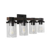 Bungalow Iron/Seeded Glass Rustic Farmhouse LED Vanity Light