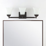 Staunton Iron/Glass Modern Cottage LED Vanity Light