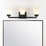 Staunton Iron/Glass Modern Cottage LED Vanity Light