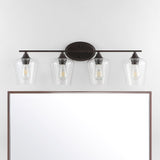 Jayne Iron/Glass Cottage Rustic LED Vanity Light