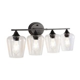 Jayne Iron/Glass Cottage Rustic LED Vanity Light