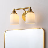 Lydia Iron/Frosted Glass Farmhouse Cottage LED Vanity Light