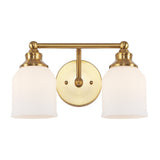 Lydia Iron/Frosted Glass Farmhouse Cottage LED Vanity Light
