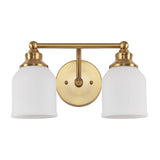 Lydia Iron/Frosted Glass Farmhouse Cottage LED Vanity Light