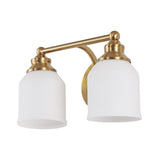 Lydia Iron/Frosted Glass Farmhouse Cottage LED Vanity Light