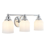 Lydia Iron/Frosted Glass Farmhouse Cottage LED Vanity Light