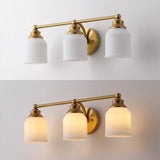 Lydia Iron/Frosted Glass Farmhouse Cottage LED Vanity Light