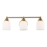 Lydia Iron/Frosted Glass Farmhouse Cottage LED Vanity Light