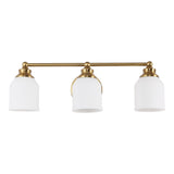 Lydia Iron/Frosted Glass Farmhouse Cottage LED Vanity Light