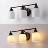 Lydia Iron/Frosted Glass Farmhouse Cottage LED Vanity Light