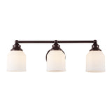 Lydia Iron/Frosted Glass Farmhouse Cottage LED Vanity Light