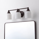 Lydia Iron/Frosted Glass Farmhouse Cottage LED Vanity Light