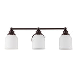 Lydia Iron/Frosted Glass Farmhouse Cottage LED Vanity Light