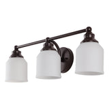 Lydia Iron/Frosted Glass Farmhouse Cottage LED Vanity Light
