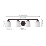 Lydia Iron/Frosted Glass Farmhouse Cottage LED Vanity Light