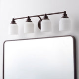 Lydia Iron/Frosted Glass Farmhouse Cottage LED Vanity Light