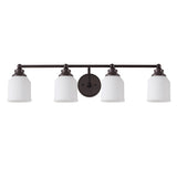 Lydia Iron/Frosted Glass Farmhouse Cottage LED Vanity Light