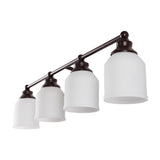 Lydia Iron/Frosted Glass Farmhouse Cottage LED Vanity Light