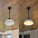 Jasper 12.25" Farmhouse Industrial Indoor/Outdoor Iron LED Pendant