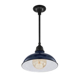 Jasper 12.25" Farmhouse Industrial Indoor/Outdoor Iron LED Pendant