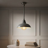 Jasper 12.25" Farmhouse Industrial Indoor/Outdoor Iron LED Pendant Gray – AI-ON
