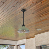 Jasper 12.25" Farmhouse Industrial Indoor/Outdoor Iron LED Pendant