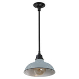 Jasper 12.25" Farmhouse Industrial Indoor/Outdoor Iron LED Pendant
