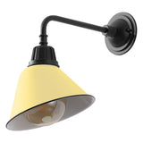 Croydon 9.63" Farmhouse Industrial Indoor/Outdoor Iron LED Gooseneck Arm Outdoor Sconce